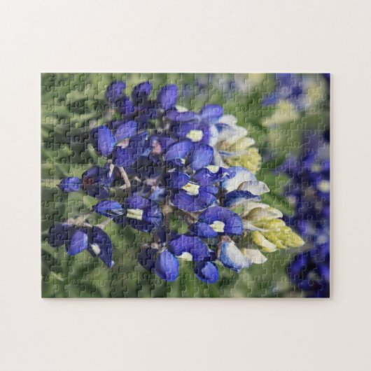 Puzzle Bluebonnet Legpuzzel (Horizontaal)