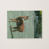 Puzzle - Bruin alpaca in het veld Legpuzzel (Horizontaal)