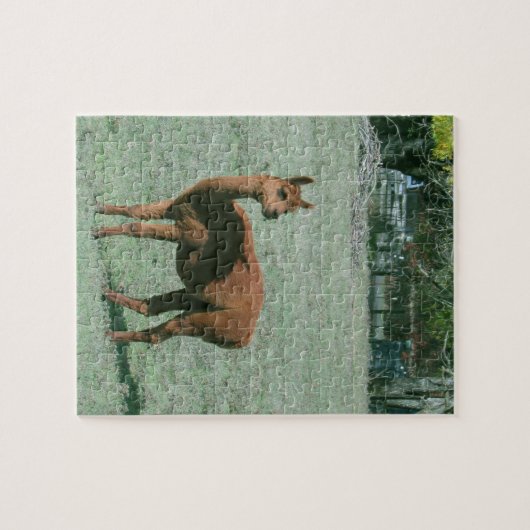 Puzzle - Bruin alpaca in het veld Legpuzzel (Horizontaal)