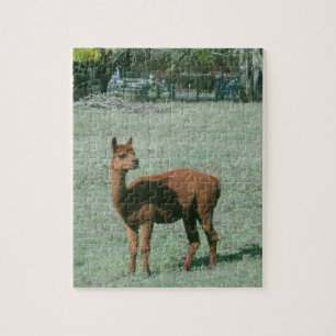 Puzzle - Bruin alpaca in het veld Legpuzzel