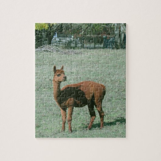Puzzle - Bruin alpaca in het veld Legpuzzel (Verticaal)