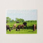Puzzle - bruine koeien die grazen in groene weiden legpuzzel (Horizontaal)