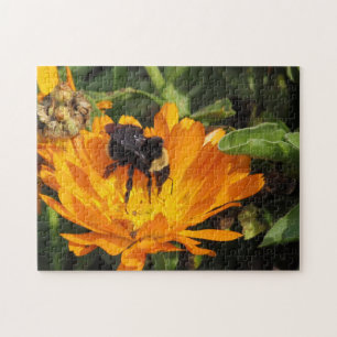 Puzzle - Bumble Bee op Calendula Legpuzzel