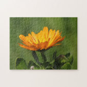 Puzzle - Calendula Blossom Legpuzzel (Horizontaal)