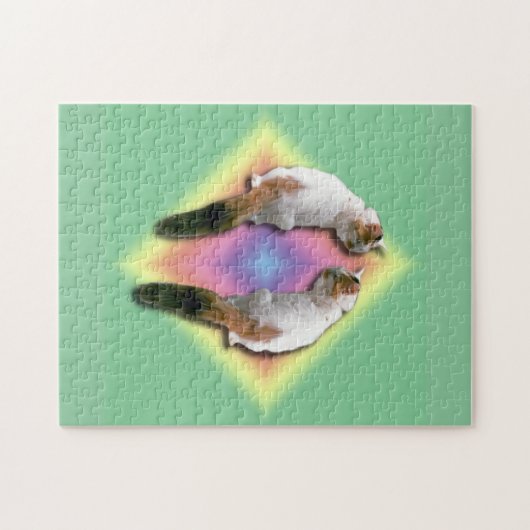 Puzzle - Cat en Rainbow Diamond Legpuzzel (Horizontaal)