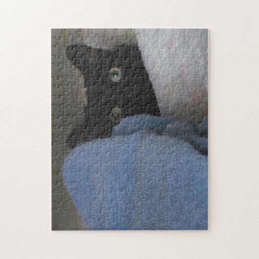 Puzzle - Closet Hideout Legpuzzel (Verticaal)