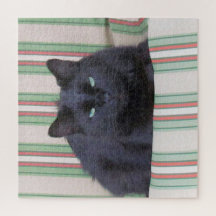 Puzzle - Cozy Cat on Cushion