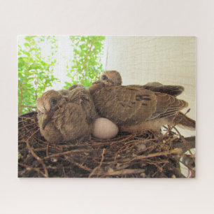 Puzzle - Dove Chicken in Nest Legpuzzel