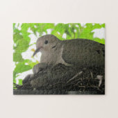 Puzzle - Doven in nesten Legpuzzel (Horizontaal)