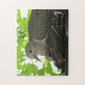 Puzzle - Doven in nesten Legpuzzel (Verticaal)