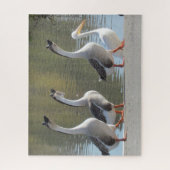 Puzzle - Drie ganzen en een Pelicaan Legpuzzel (Verticaal)