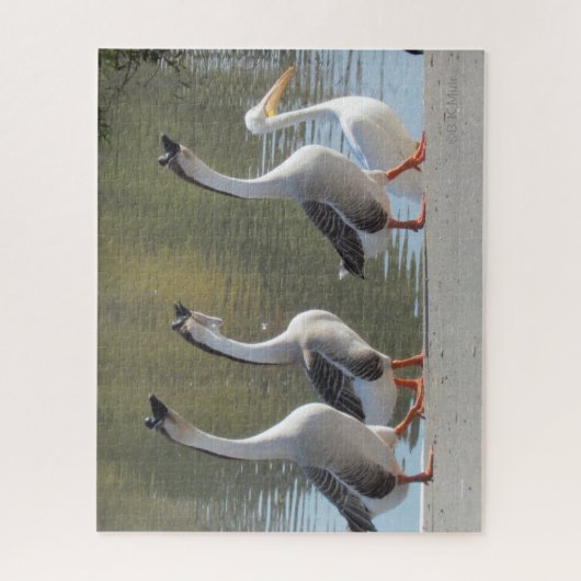 Puzzle - Drie ganzen en een Pelicaan Legpuzzel (Verticaal)