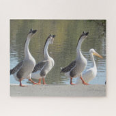 Puzzle - Drie ganzen en een Pelicaan Legpuzzel (Horizontaal)