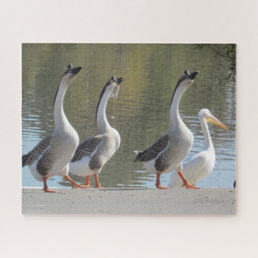 Puzzle - Drie ganzen en een Pelicaan Legpuzzel (Horizontaal)