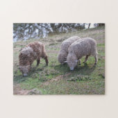 Puzzle - Drie schapen Legpuzzel (Horizontaal)
