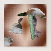 Puzzle - drijvende katten legpuzzel (Horizontaal)