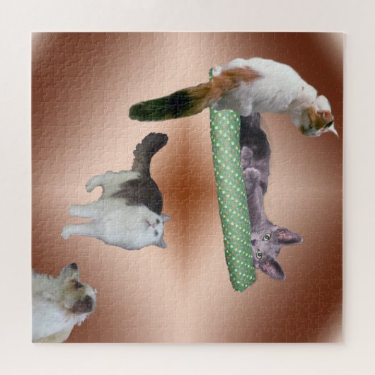 Puzzle - drijvende katten legpuzzel (Horizontaal)