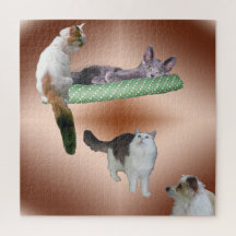 Puzzle - drijvende katten