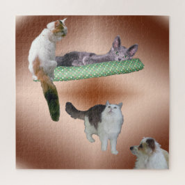 Puzzle - drijvende katten legpuzzel