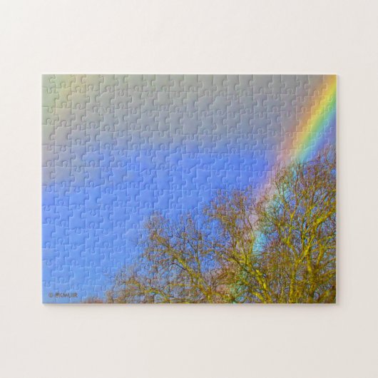 Puzzle - Dubbele regenboog in de hemel Legpuzzel (Horizontaal)