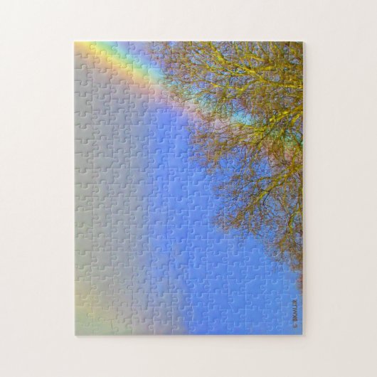 Puzzle - Dubbele regenboog in de hemel Legpuzzel (Verticaal)