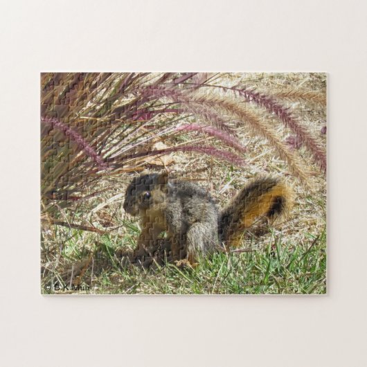 Puzzle - Eekhoorn in de schaduw Legpuzzel (Horizontaal)