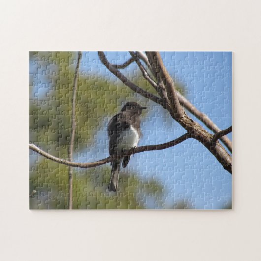 Puzzle - Flycatcher Legpuzzel (Horizontaal)