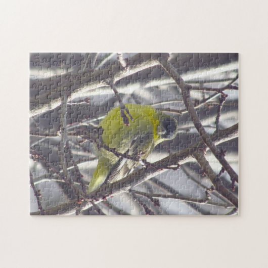 Puzzle - Gele Finch in Branches Legpuzzel (Horizontaal)