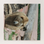 Puzzle Grizzly beren van South Dakota Legpuzzel (Horizontaal)