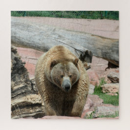 Puzzle Grizzly beren van South Dakota Legpuzzel