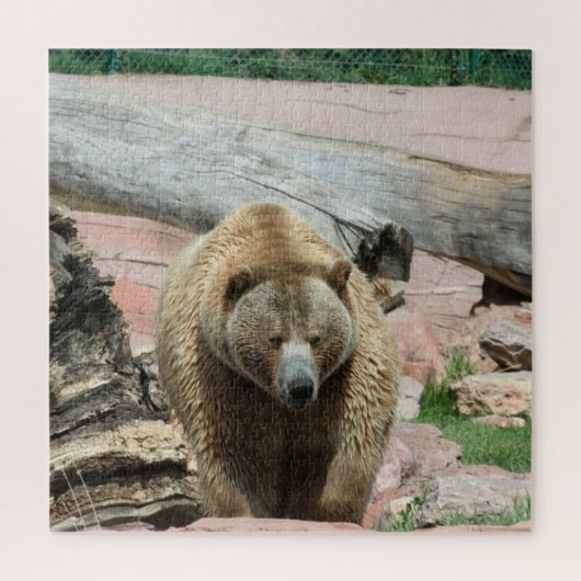 Puzzle Grizzly beren van South Dakota Legpuzzel (Verticaal)