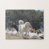Puzzle - Guard Dog en Goats Legpuzzel (Horizontaal)