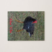 Puzzle Hawaiian Bird Legpuzzel (Horizontaal)