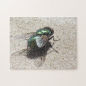 Puzzle - House Fly Legpuzzel (Horizontaal)