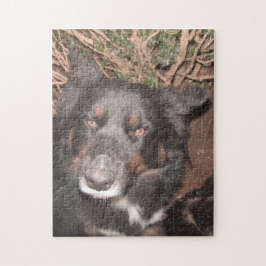Puzzle Husky Cross Brown Eyes Legpuzzel (Verticaal)