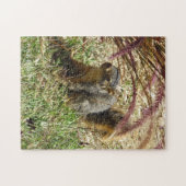 Puzzle - Inquisitieve eekhoorn Legpuzzel (Horizontaal)