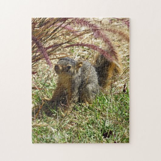 Puzzle - Inquisitieve eekhoorn Legpuzzel (Verticaal)