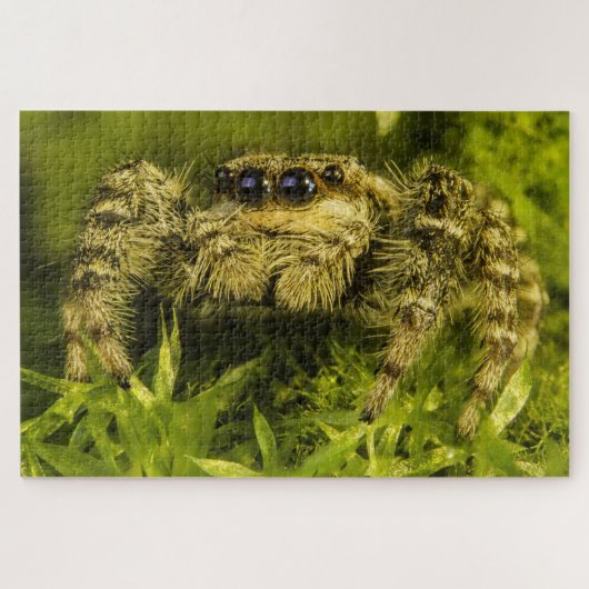 Puzzle Jumping spin op de grasfoto Legpuzzel (Horizontaal)