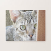 Puzzle - Kitten Portret Legpuzzel (Horizontaal)