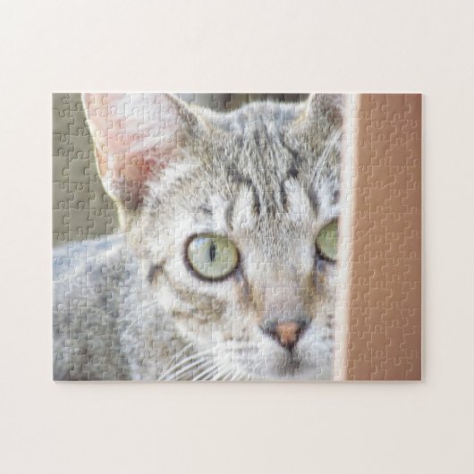 Puzzle - Kitten Portret Legpuzzel (Horizontaal)