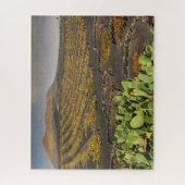 Puzzle Landscape of Lanzarote - Vineyard Legpuzzel (Verticaal)