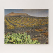 Puzzle Landscape of Lanzarote - Vineyard Legpuzzel (Horizontaal)