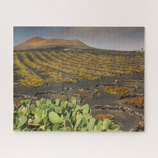 Puzzle Landscape of Lanzarote - Vineyard Legpuzzel (Horizontaal)