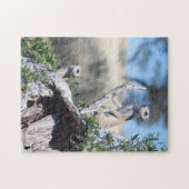 Puzzle - Meerkat Sentinels Legpuzzel (Horizontaal)