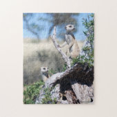 Puzzle - Meerkat Sentinels Legpuzzel (Verticaal)