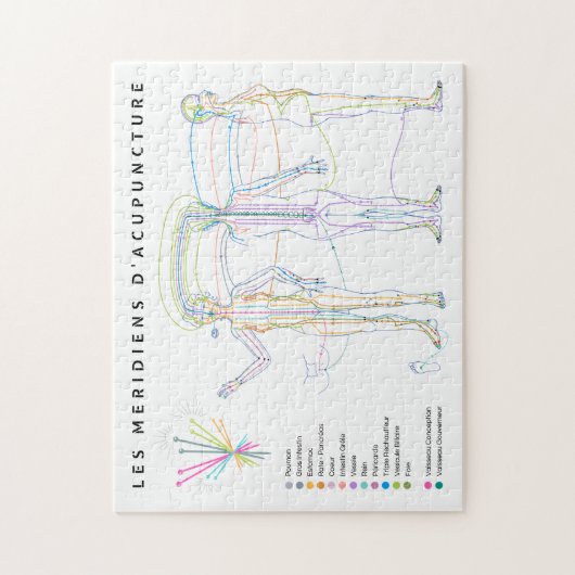 Puzzle Meridianen van Acupunctuur, Chinese geneesk Legpuzzel (Verticaal)