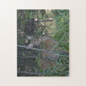 Puzzle met Gift Box/Doe in Bossen Legpuzzel (Verticaal)