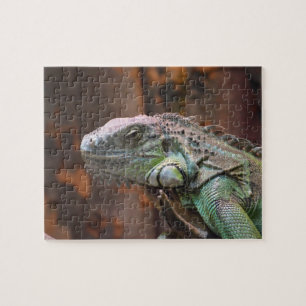 Puzzle met kleurrijke Iguana hagedis Legpuzzel