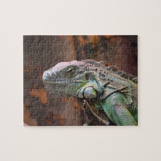 Puzzle met kleurrijke Iguana hagedis Legpuzzel (Horizontaal)