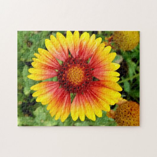 Puzzle met vulflens legpuzzel (Horizontaal)